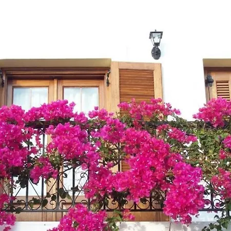 Benigna Apartment
