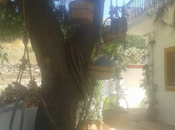 Daire Benigna İlipsi